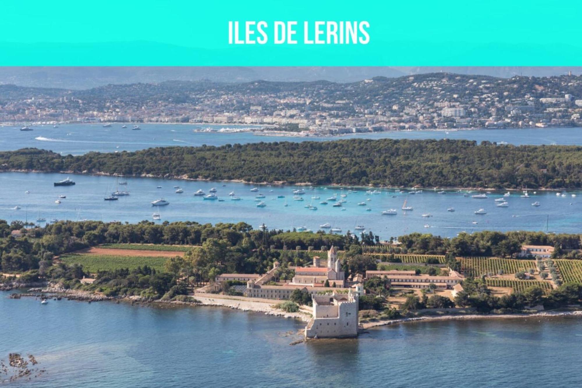 Les Sorbiers - Centre Ville - Spacieux & Climatisation คานส์ ภายนอก รูปภาพ